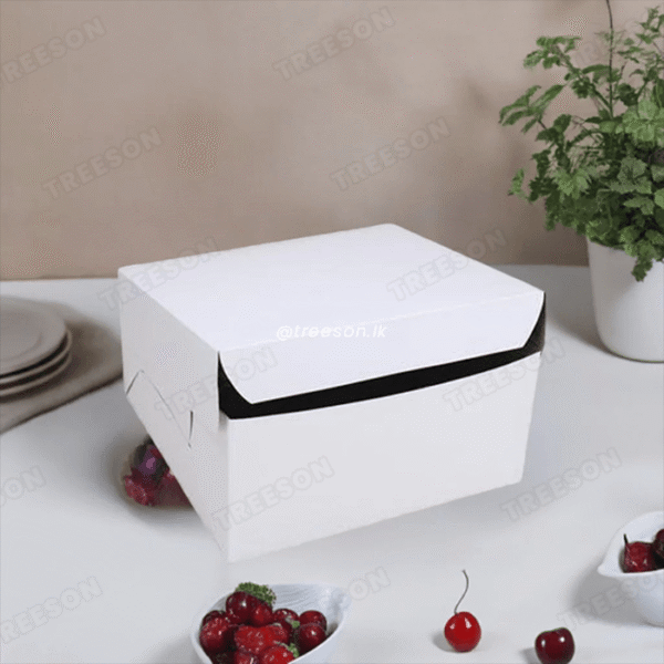 Cake Box Plain White
